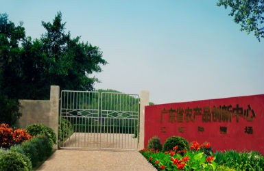 3377官网研发基地