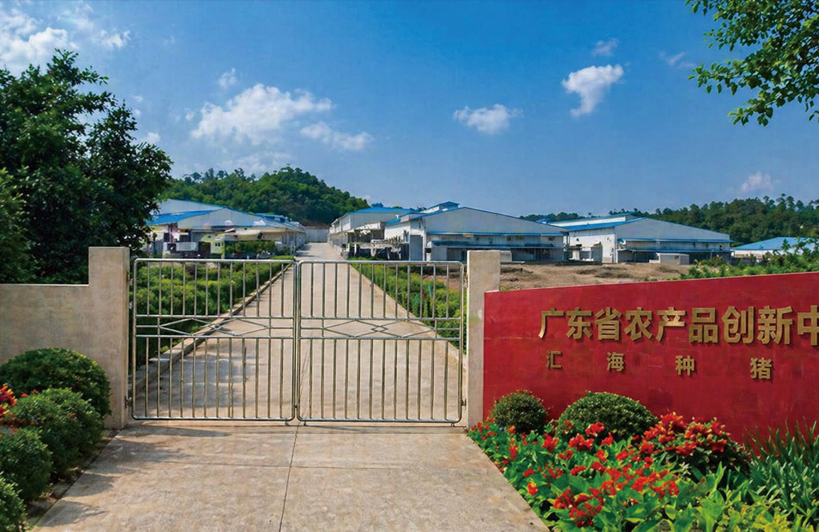 3377官网研发基地
